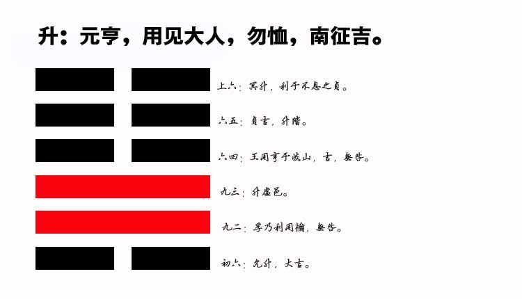 46、升卦智慧：如何像参天大树般稳步成长，实现事业与财富的突破